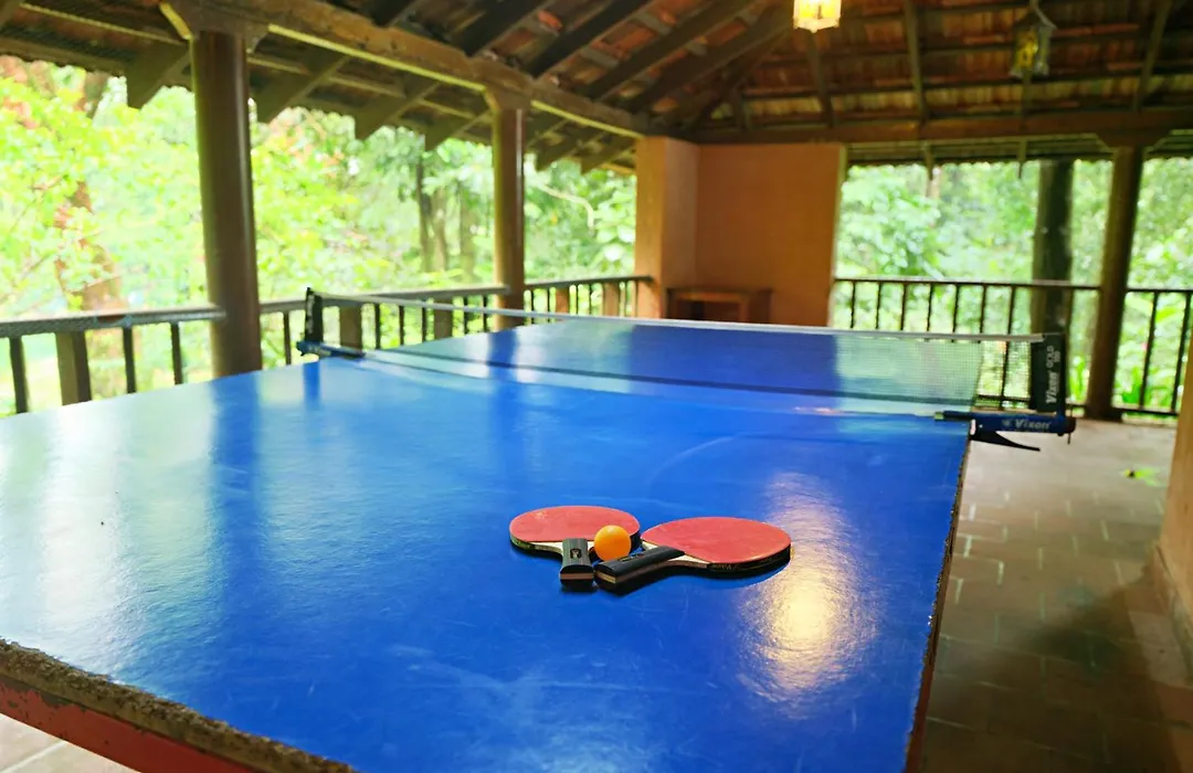 Vythiri Resort-1
